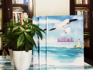 小學(xué)畢業(yè)紀念相冊定制-大連制作班級留念冊公司