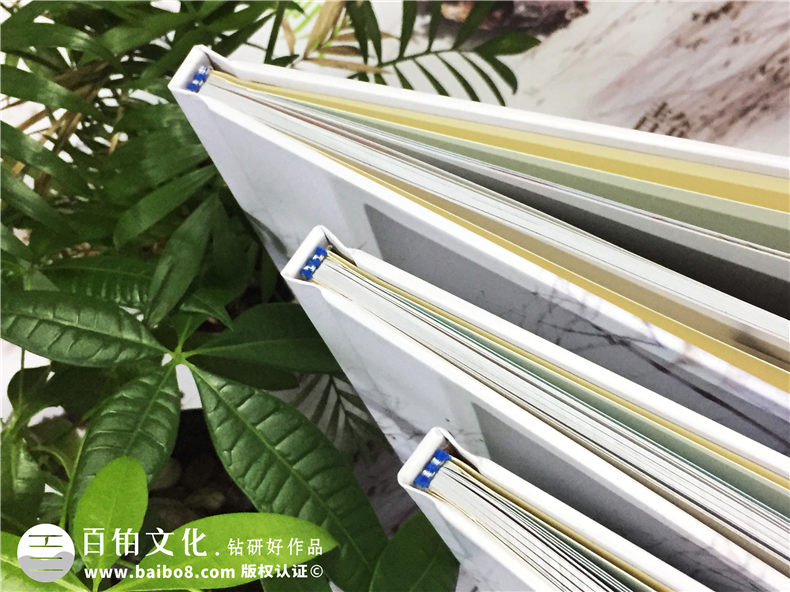 高中畢業(yè)冊(cè)制作：高考之際 制作2020年的同學(xué)畢業(yè)紀(jì)念冊(cè)！第2張-宣傳畫(huà)冊(cè),紀(jì)念冊(cè)設(shè)計(jì)制作-價(jià)格費(fèi)用,文案模板,印刷裝訂,尺寸大小