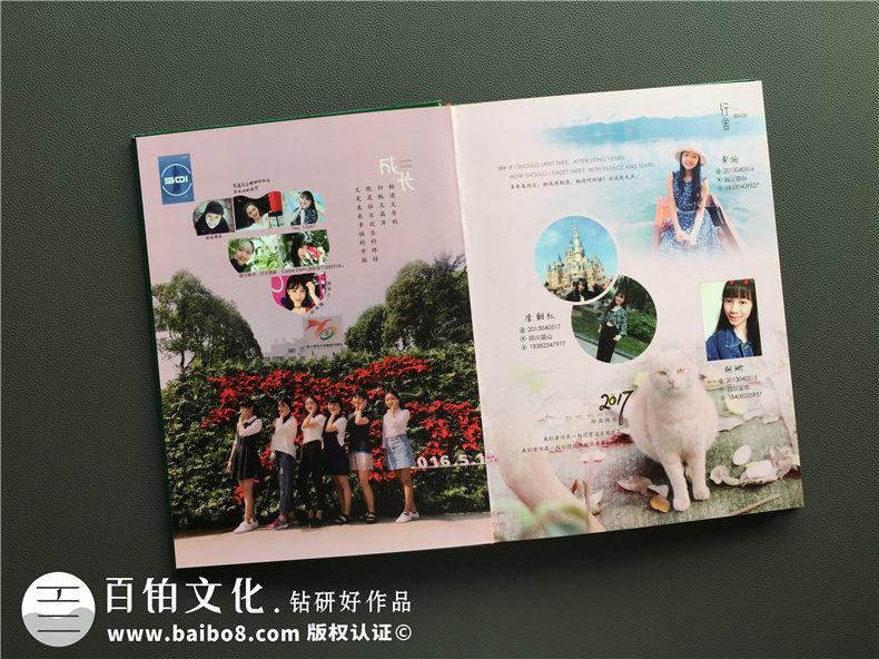 創(chuàng)意大學(xué)紀(jì)念冊(cè)板塊設(shè)計(jì)案例展示-大學(xué)畢業(yè)相冊(cè)策劃-四川師范大學(xué)