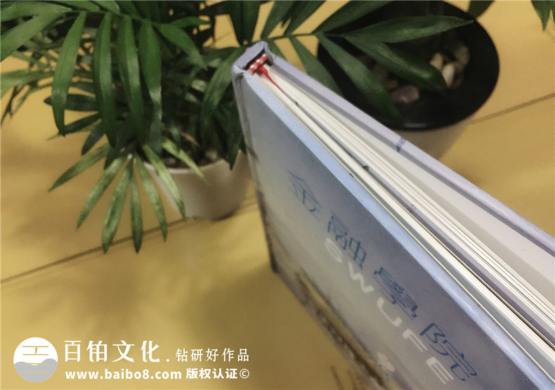 西南財(cái)經(jīng)大學(xué)金融學(xué)院畢業(yè)紀(jì)念冊(cè)-班級(jí)同學(xué)錄
