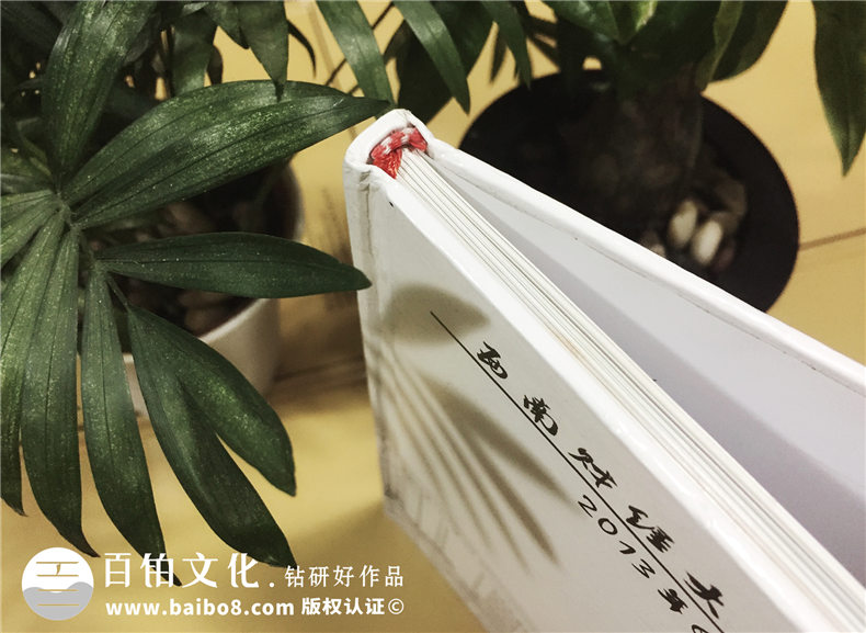 西南財(cái)大2009級公管學(xué)院-大學(xué)畢業(yè)紀(jì)念冊-同學(xué)錄