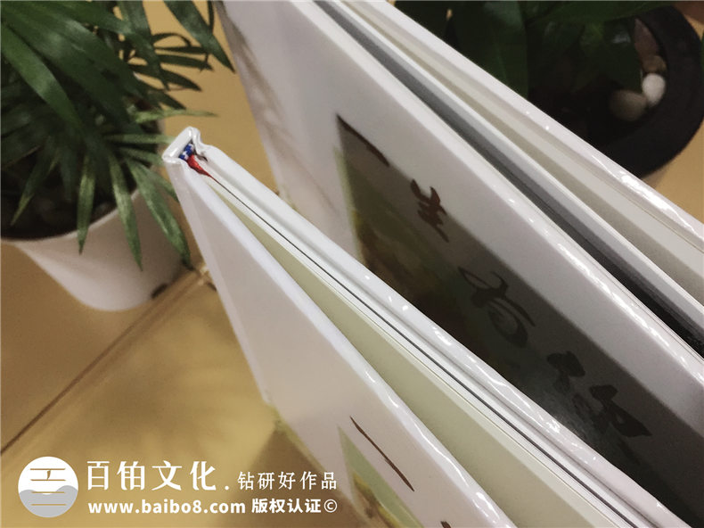 西南財(cái)經(jīng)大學(xué)-經(jīng)濟(jì)學(xué)基地班畢業(yè)紀(jì)念冊-同學(xué)錄