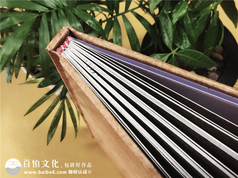 陳氏個性圖文家譜-個性創(chuàng)意族譜設計制作
