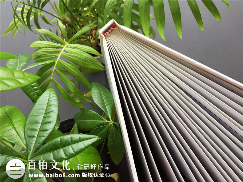20周年同學聚會紀念冊-經(jīng)典同學會相冊樣本-四川機電職業(yè)技術(shù)學院
