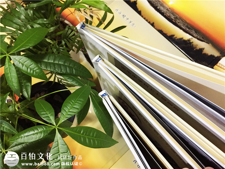 閬中中學(xué)-畢業(yè)四十周年聚會紀(jì)念冊-同學(xué)會相冊