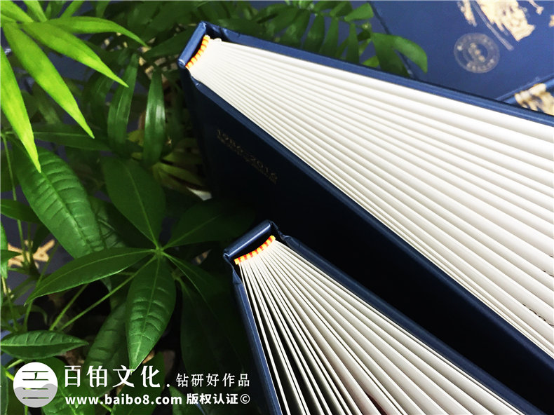 同學(xué)再聚首的相冊(cè)制作方法 怎么完成同學(xué)會(huì)相冊(cè)制作呢？第2張-宣傳畫冊(cè),紀(jì)念冊(cè)設(shè)計(jì)制作-價(jià)格費(fèi)用,文案模板,印刷裝訂,尺寸大小