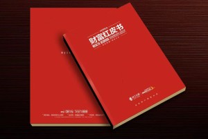 真正高端的房地產(chǎn)企業(yè)宣傳畫冊設(shè)計 擺脫創(chuàng)意文案 廣告照樣牛逼！