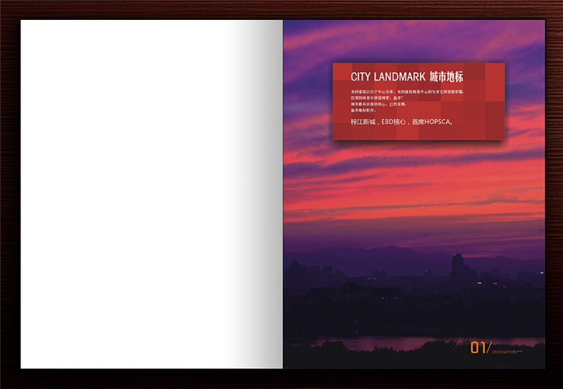 【高端樓書設(shè)計(jì)制作】售樓處房地產(chǎn)宣傳畫冊怎么做高檔簡約大氣!