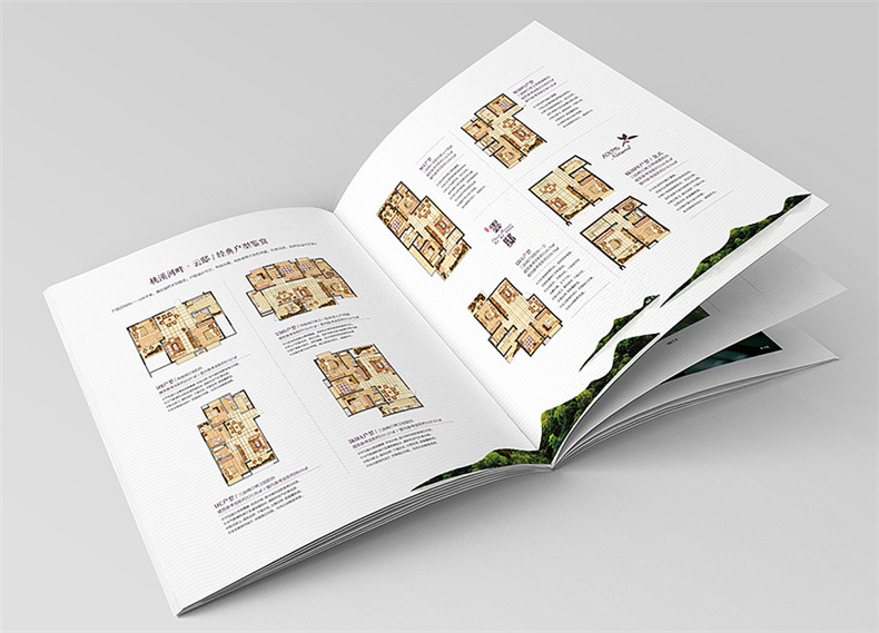 設(shè)計(jì)地產(chǎn)樓書一般多少錢1p-樓書設(shè)計(jì)價格是多少-地產(chǎn)畫冊收費(fèi)標(biāo)準(zhǔn)