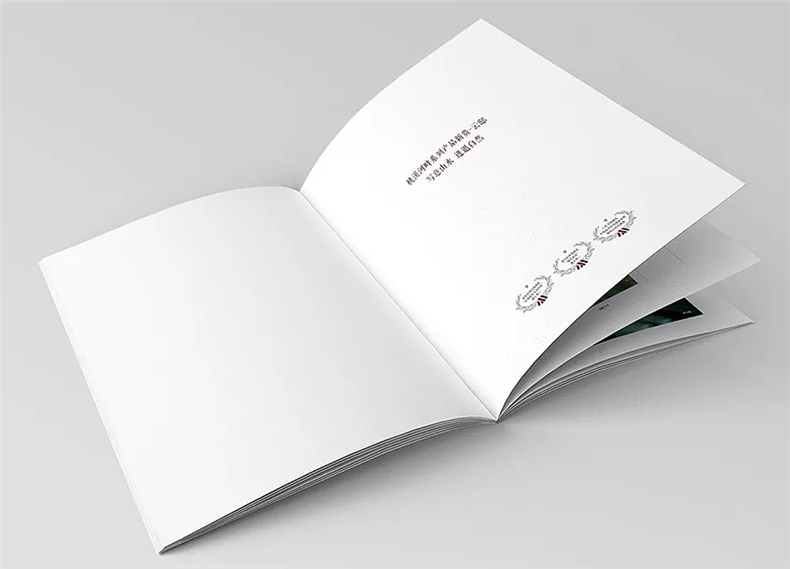 設(shè)計(jì)地產(chǎn)樓書一般多少錢1p-樓書設(shè)計(jì)價格是多少-地產(chǎn)畫冊收費(fèi)標(biāo)準(zhǔn)
