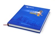 曾都統(tǒng)計年鑒精裝書-成都年集設(shè)計制作