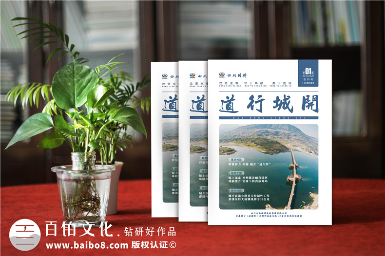 單位內(nèi)部期刊制作-軌道工程公司項(xiàng)目?？s志設(shè)計(jì)規(guī)劃-四川路橋