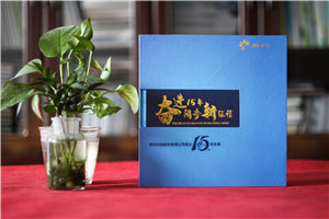 公司周年紀(jì)念畫(huà)冊(cè)排版-集團(tuán)成立十五周年圖畫(huà)冊(cè)設(shè)計(jì)