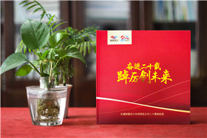企業(yè)20年畫(huà)冊(cè)-公司廠慶回憶錄周年大事記書(shū)籍設(shè)計(jì)制作