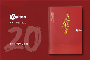 化工企業(yè)20周年紀(jì)念冊(cè)設(shè)計(jì)-公司整合發(fā)展大事記畫(huà)冊(cè)