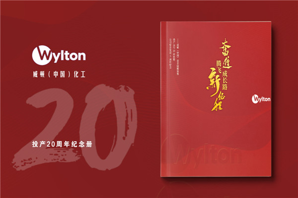 化工企業(yè)20周年紀(jì)念冊設(shè)計(jì)-公司整合發(fā)展大事記畫冊