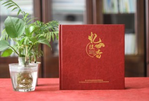 工程竣工畫(huà)冊(cè)策劃-水庫(kù)景觀項(xiàng)目開(kāi)工及交工紀(jì)念相冊(cè)-工程完工圖冊(cè)