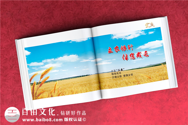 公司周年活動(dòng)紀(jì)念畫冊(cè)-銘記團(tuán)隊(duì)部門成長(zhǎng)的周年慶畫冊(cè)設(shè)計(jì)