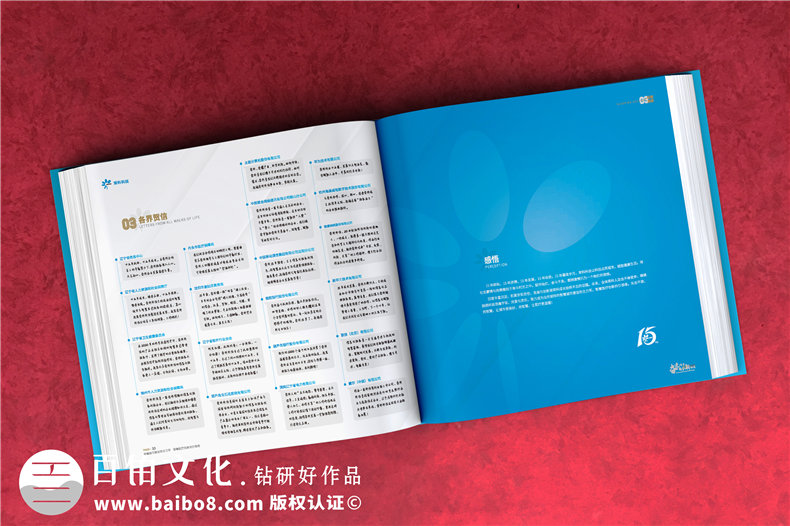 公司周年紀(jì)念畫冊排版-集團(tuán)成立十五周年圖畫冊設(shè)計(jì)