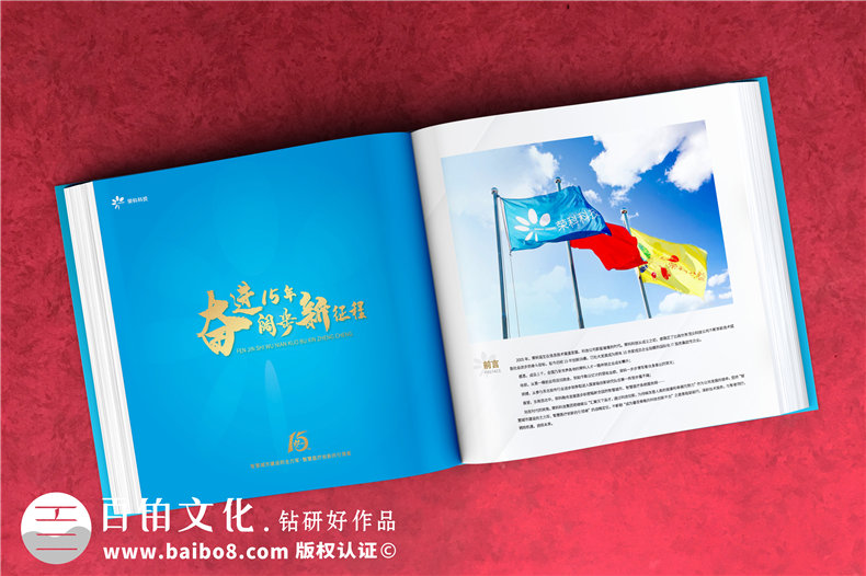 公司周年紀(jì)念畫冊排版-集團(tuán)成立十五周年圖畫冊設(shè)計(jì)