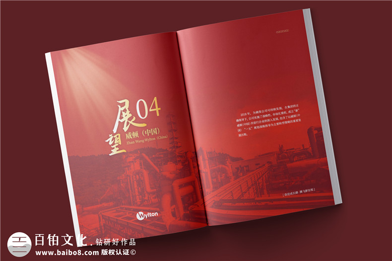化工企業(yè)20周年紀(jì)念冊設(shè)計-公司整合發(fā)展大事記畫冊