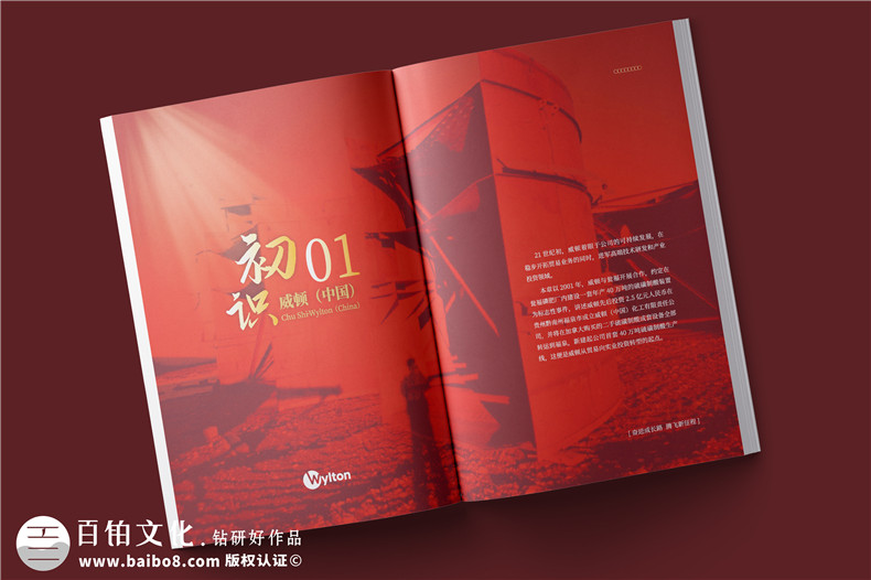 化工企業(yè)20周年紀(jì)念冊設(shè)計-公司整合發(fā)展大事記畫冊