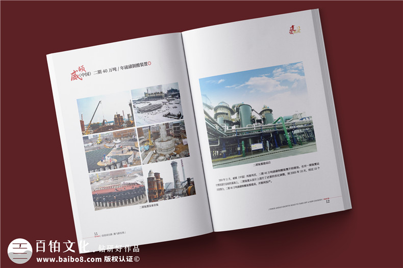 化工企業(yè)20周年紀(jì)念冊設(shè)計-公司整合發(fā)展大事記畫冊