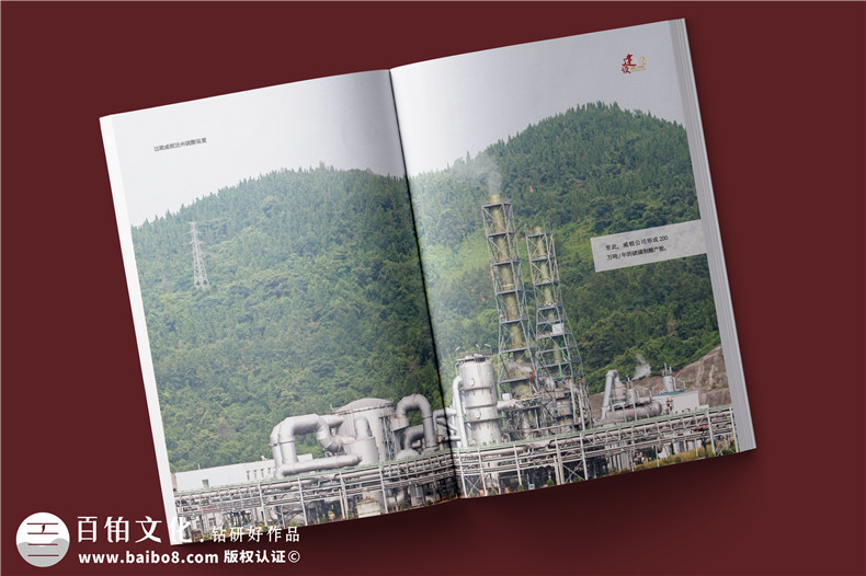 化工企業(yè)20周年紀(jì)念冊設(shè)計-公司整合發(fā)展大事記畫冊