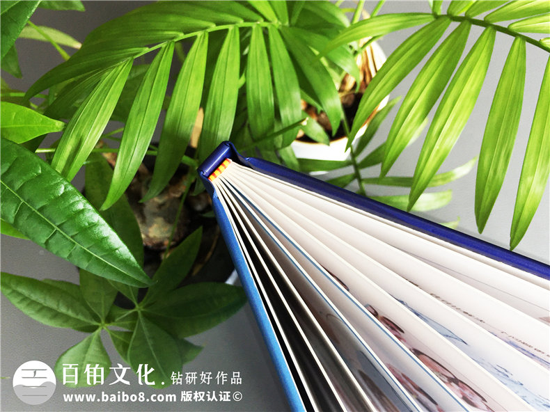 團(tuán)隊(duì)建設(shè)活動(dòng)紀(jì)念冊(cè)-企業(yè)培訓(xùn)相冊(cè)-拓展訓(xùn)練畫冊(cè)