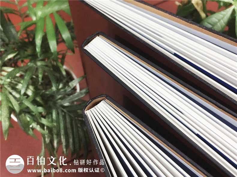 政府人員出國考察學(xué)習(xí)培訓(xùn)紀(jì)念冊-機(jī)關(guān)單位領(lǐng)導(dǎo)視察影集相冊