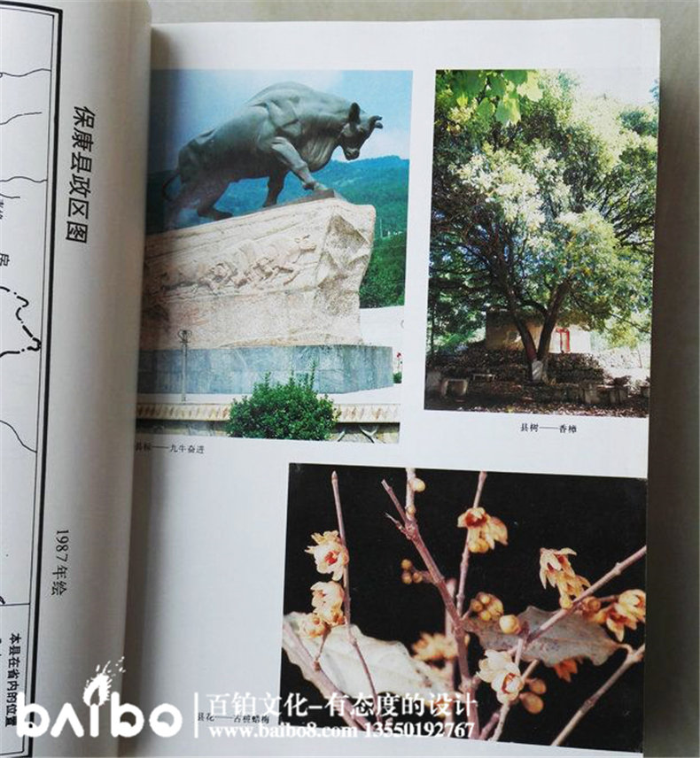 成都縣志地方志鑒裝訂印制-?？悼h志實例鑒賞