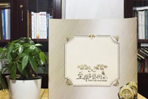 至尊精雕移門(mén)宣傳畫(huà)冊(cè)-家具產(chǎn)品畫(huà)冊(cè)設(shè)計(jì)