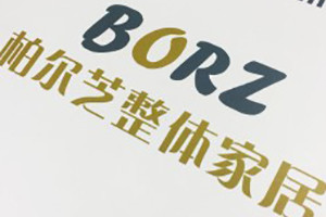 柏爾芝整體家居畫(huà)冊(cè)設(shè)計(jì)制作-定制衣柜產(chǎn)品畫(huà)冊(cè)