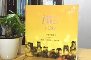樓書(shū)設(shè)計(jì)-樓房平面展示宣傳畫(huà)冊(cè)