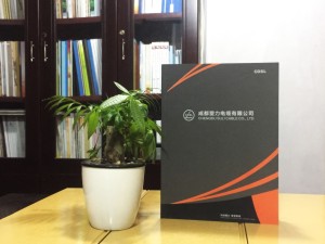企業(yè)宣傳畫(huà)冊(cè)制作-公司業(yè)務(wù)手冊(cè)