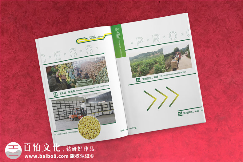 【水果宣傳冊設計】 農(nóng)業(yè)公司農(nóng)產(chǎn)品畫冊制作 樣本冊印刷