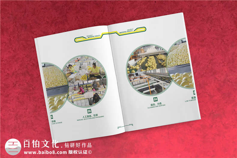 【水果宣傳冊設計】 農(nóng)業(yè)公司農(nóng)產(chǎn)品畫冊制作 樣本冊印刷