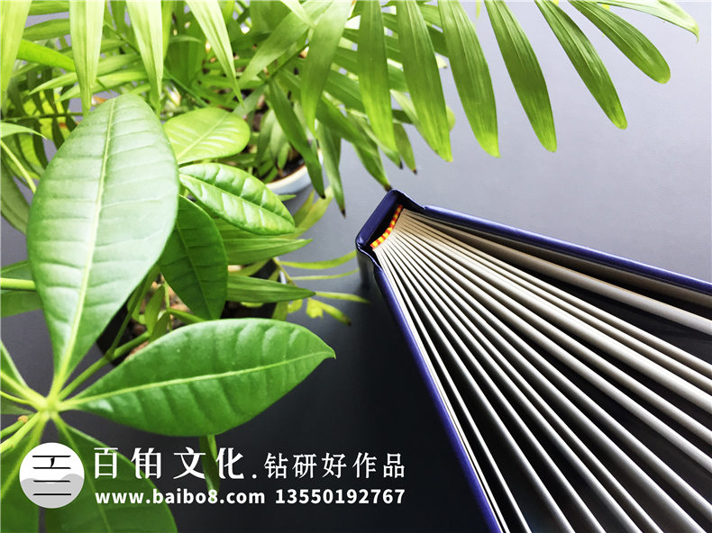 【企業(yè)資質(zhì)手冊】 公司簡介畫冊設計制作 企業(yè)介紹宣傳冊排版