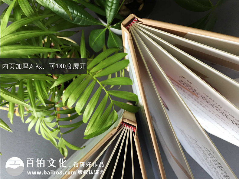 【整形美容醫(yī)院業(yè)務(wù)介紹手冊設(shè)計】美妝店項目（價格表）手冊制作