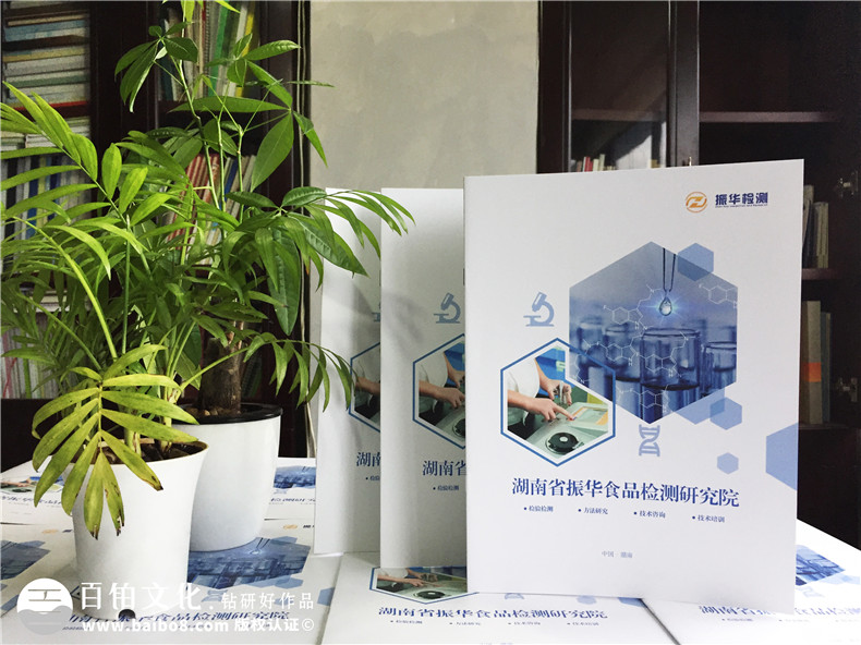【食品檢測公司宣傳冊設計】食品企業(yè)畫冊制作-長沙畫冊設計公司