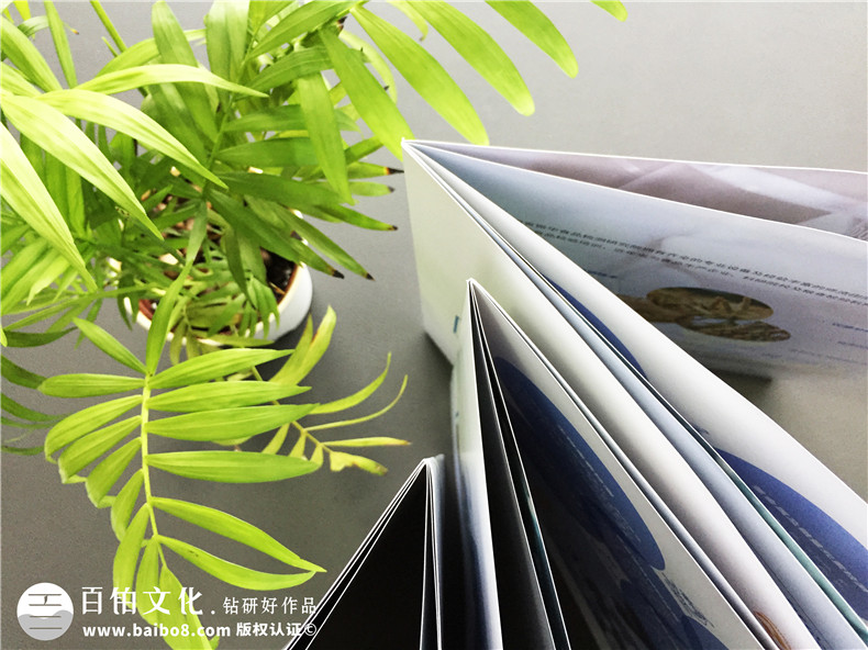 【食品檢測公司宣傳冊設計】食品企業(yè)畫冊制作-長沙畫冊設計公司