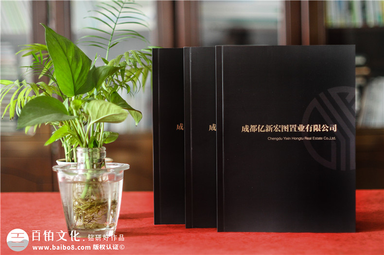 房地產(chǎn)置業(yè)開發(fā)公司宣傳冊(cè)設(shè)計(jì)-造價(jià)咨詢物業(yè)管理營銷代理企業(yè)畫冊(cè)