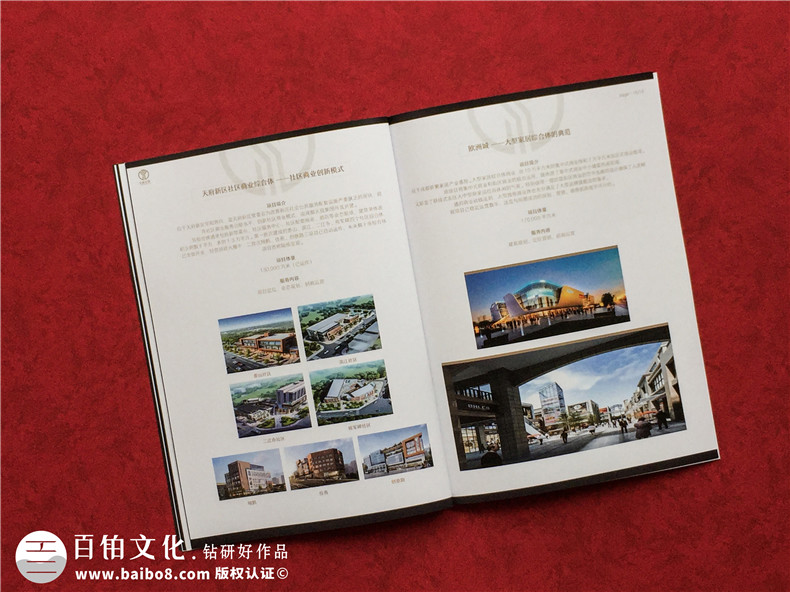 房地產(chǎn)置業(yè)開發(fā)公司宣傳冊(cè)設(shè)計(jì)-造價(jià)咨詢物業(yè)管理營銷代理企業(yè)畫冊(cè)