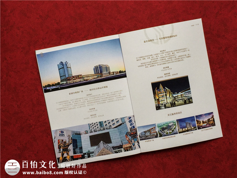 房地產(chǎn)置業(yè)開發(fā)公司宣傳冊(cè)設(shè)計(jì)-造價(jià)咨詢物業(yè)管理營銷代理企業(yè)畫冊(cè)