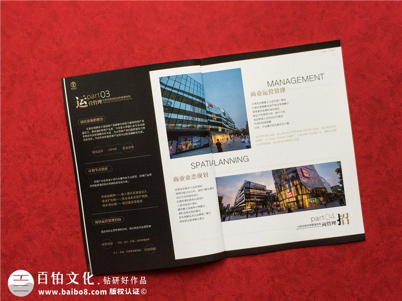 房地產(chǎn)置業(yè)開發(fā)公司宣傳冊(cè)設(shè)計(jì)-造價(jià)咨詢物業(yè)管理營銷代理企業(yè)畫冊(cè)