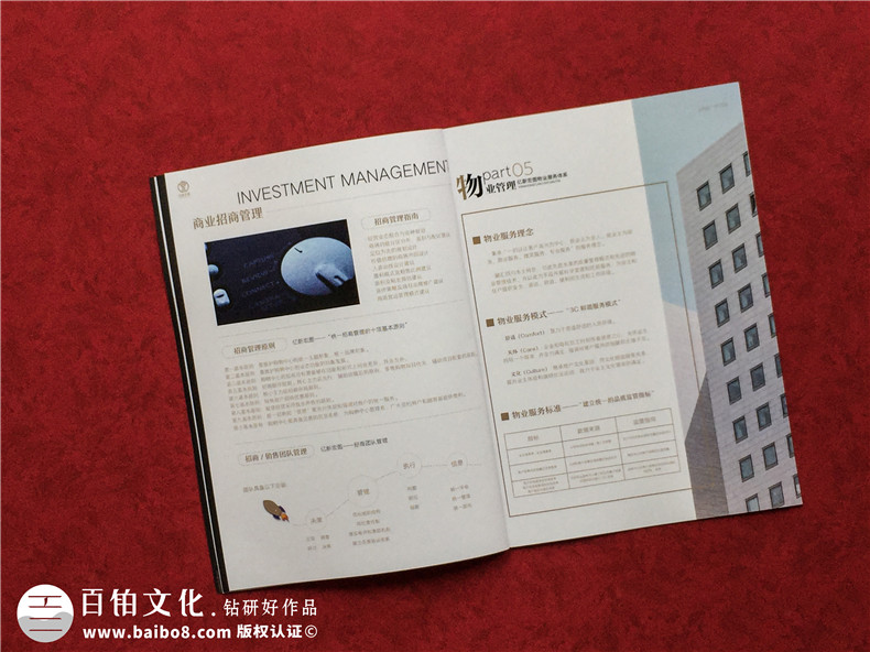 房地產(chǎn)置業(yè)開發(fā)公司宣傳冊(cè)設(shè)計(jì)-造價(jià)咨詢物業(yè)管理營銷代理企業(yè)畫冊(cè)