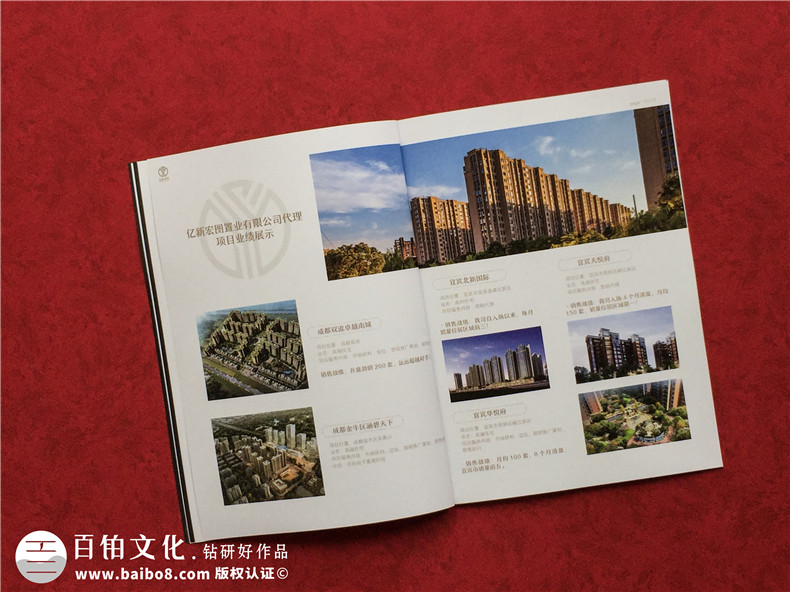 房地產(chǎn)置業(yè)開發(fā)公司宣傳冊(cè)設(shè)計(jì)-造價(jià)咨詢物業(yè)管理營銷代理企業(yè)畫冊(cè)