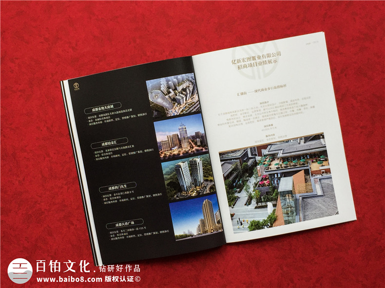 房地產(chǎn)置業(yè)開發(fā)公司宣傳冊(cè)設(shè)計(jì)-造價(jià)咨詢物業(yè)管理營銷代理企業(yè)畫冊(cè)