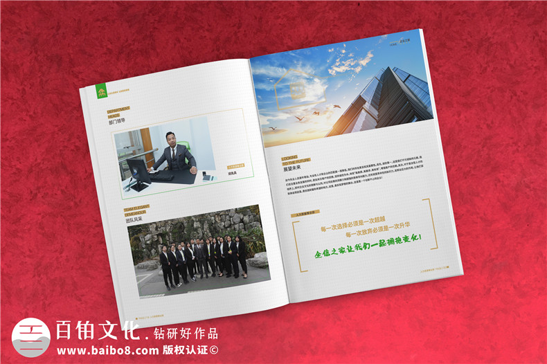 企業(yè)服務(wù)公司宣傳冊制作-財(cái)稅咨詢會(huì)計(jì)服務(wù)公司畫冊設(shè)計(jì)