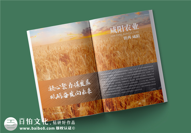 農(nóng)業(yè)畫冊(cè)設(shè)計(jì)-農(nóng)業(yè)公司農(nóng)產(chǎn)品宣傳冊(cè)怎么做